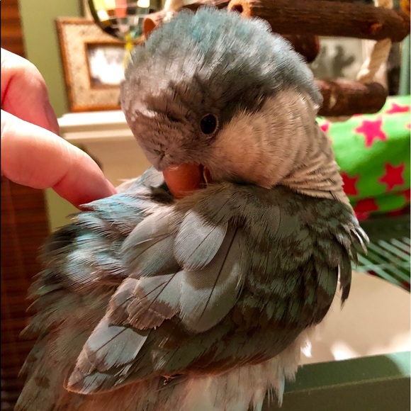 πNew Posh Ambassador as of 10/07/19π - Picture 5 of 8